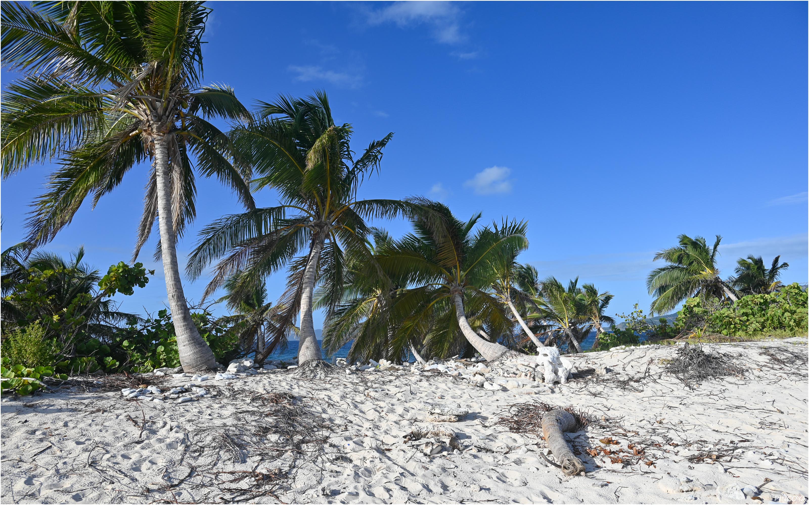 „Sandy Island VII“