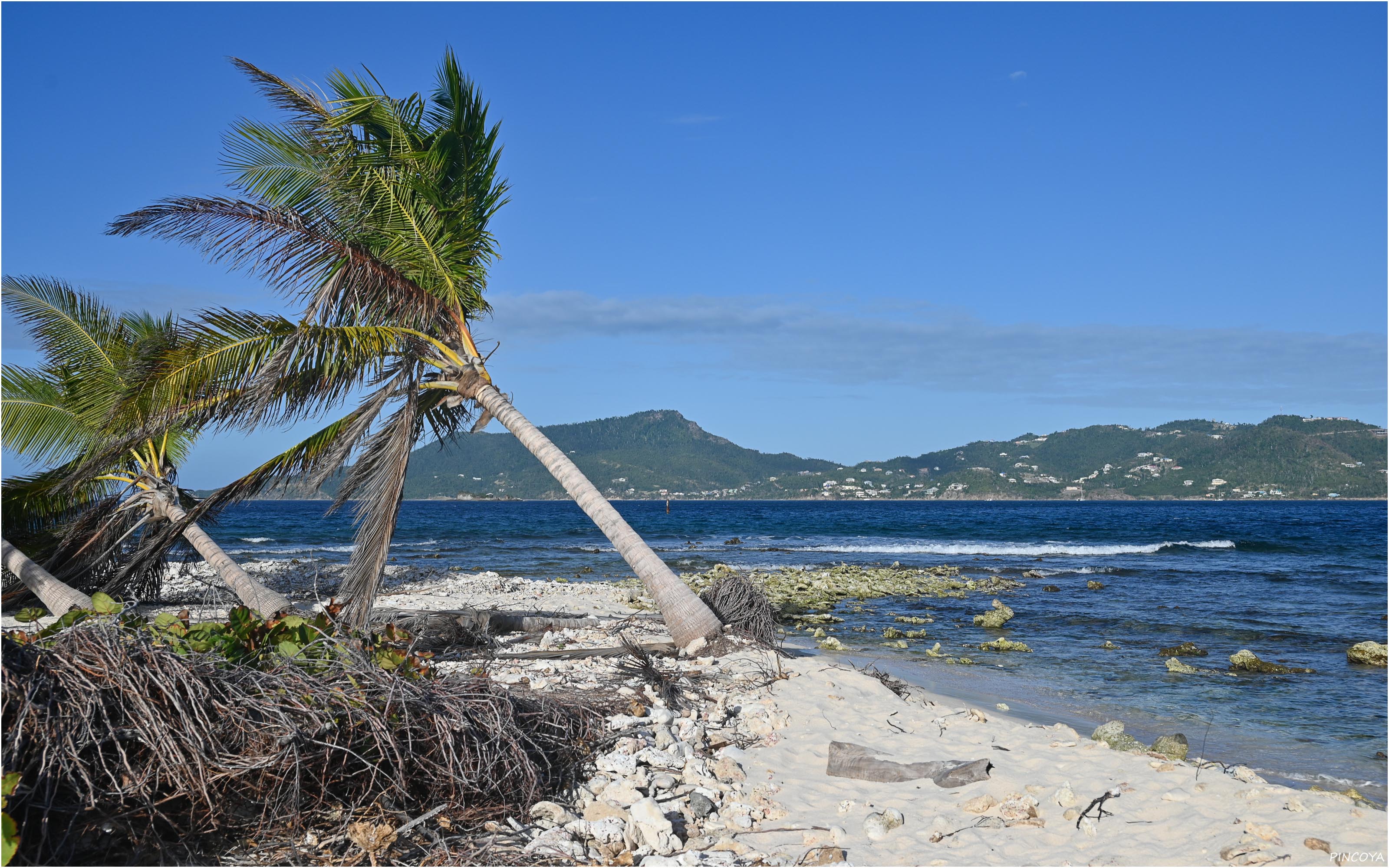 „Sandy Island VIII“