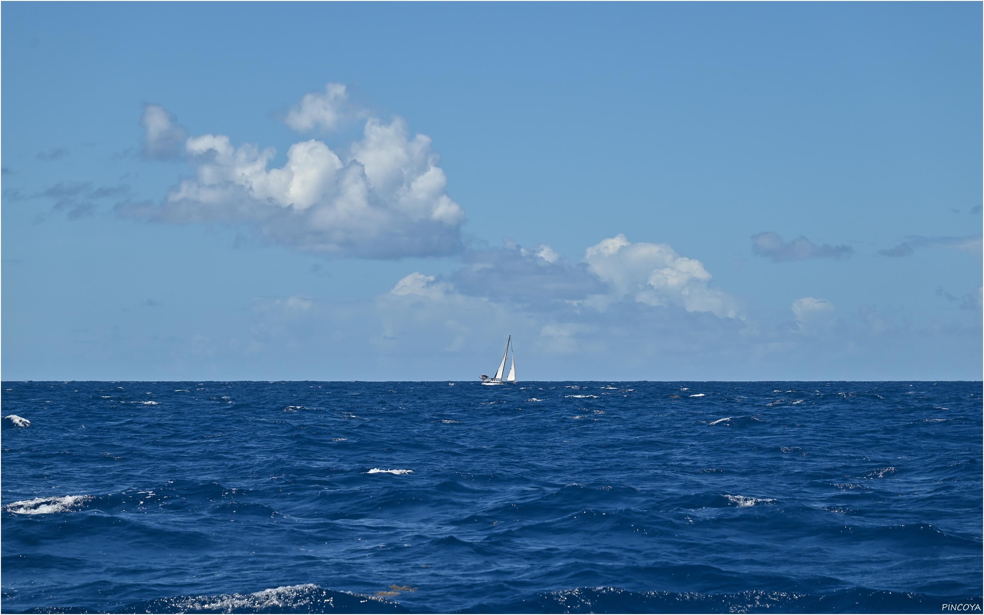 „Schöner Segelwind auf tiefblauem Wasser“