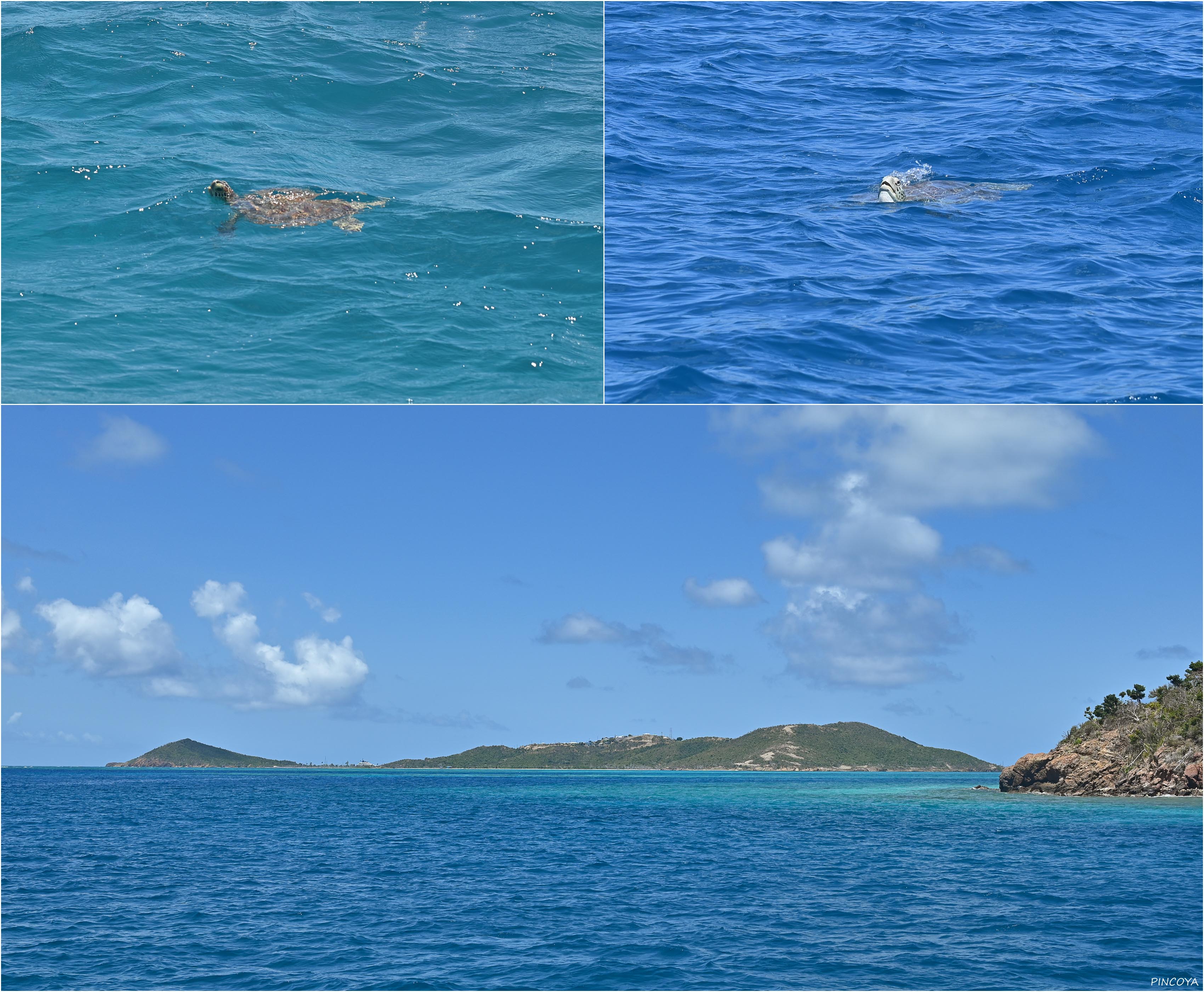 „Tobago Cays III“