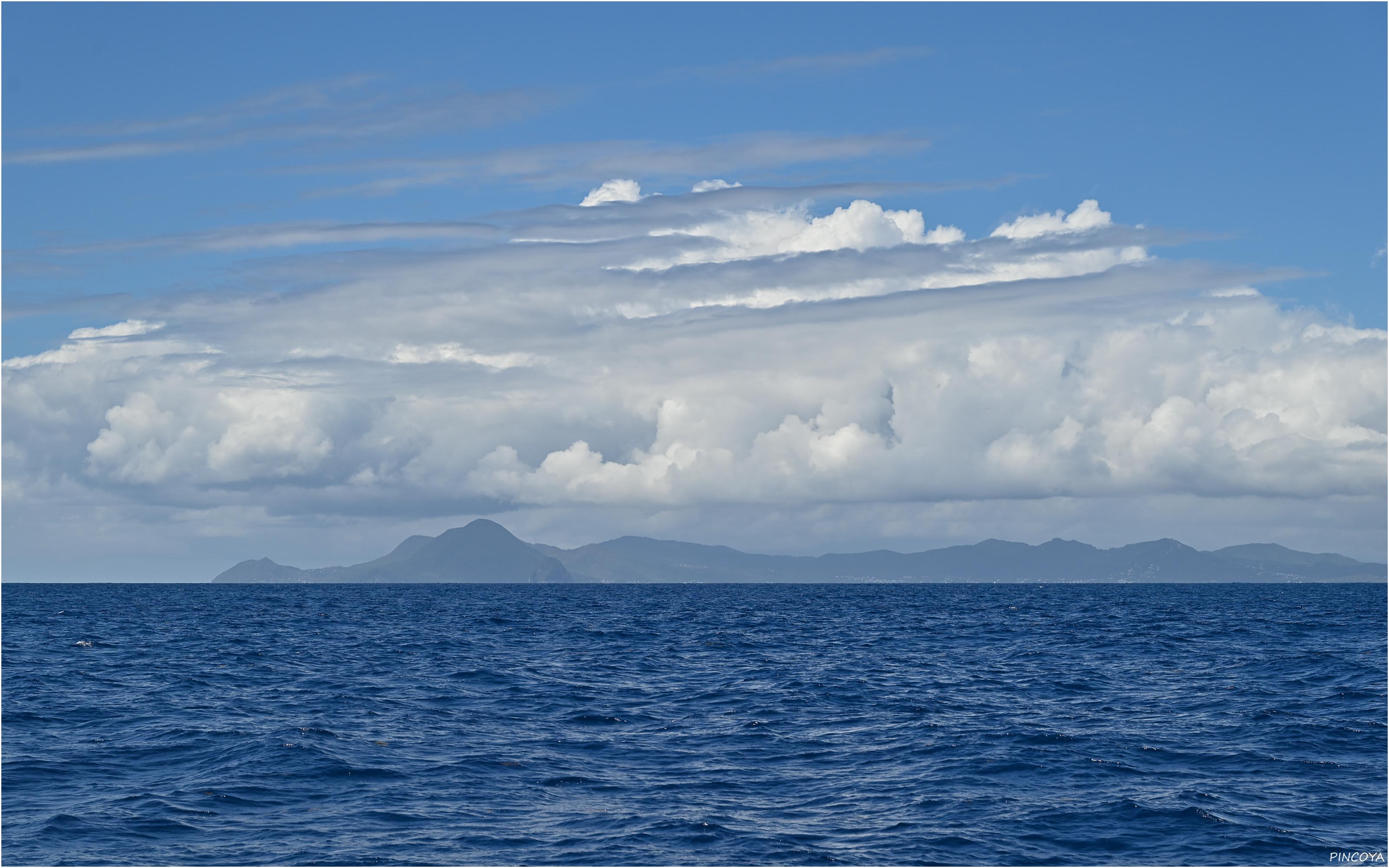 „Martinique voraus“