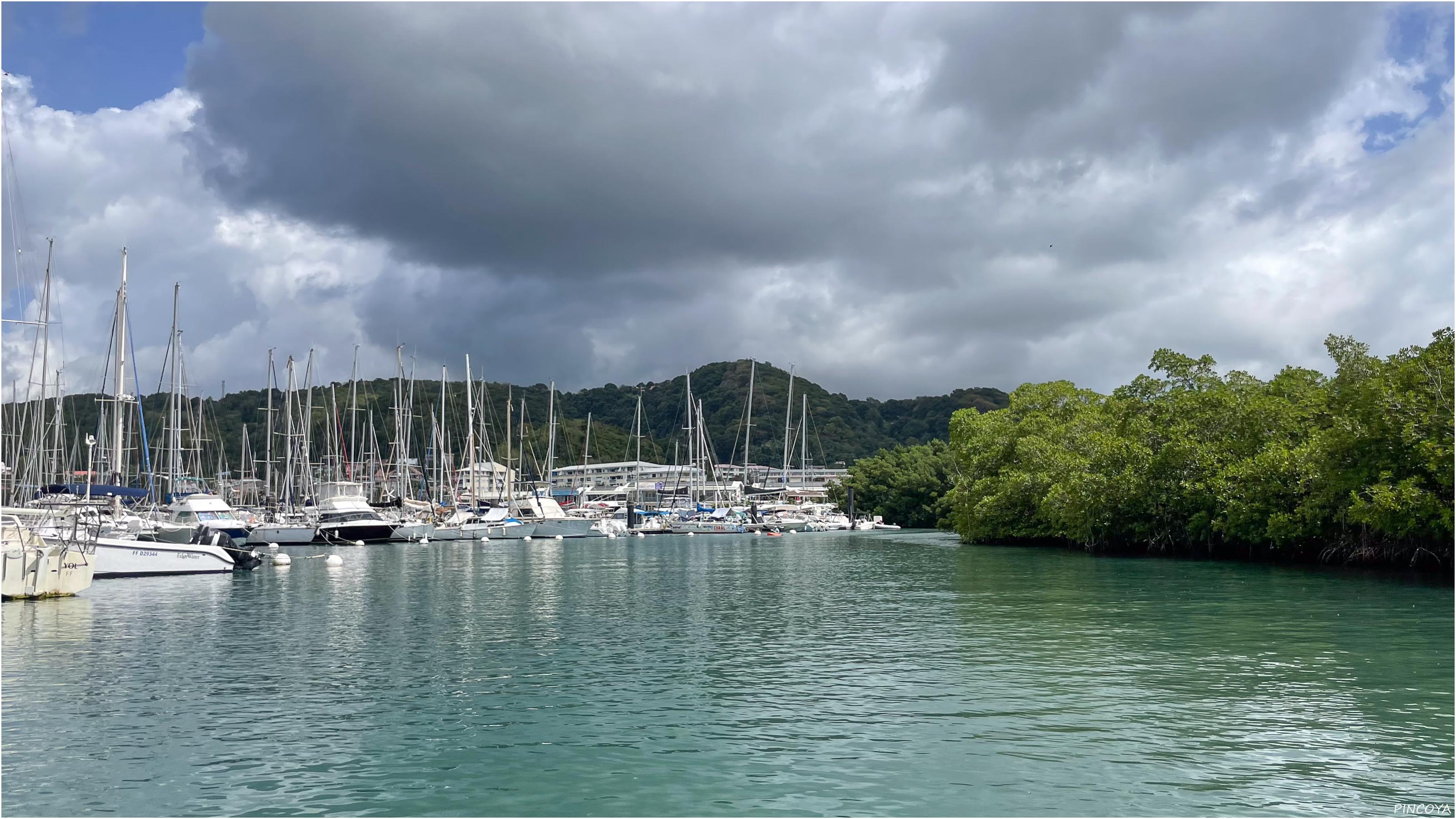 „An den Mangroven entlang zum Dinghy Dock.“