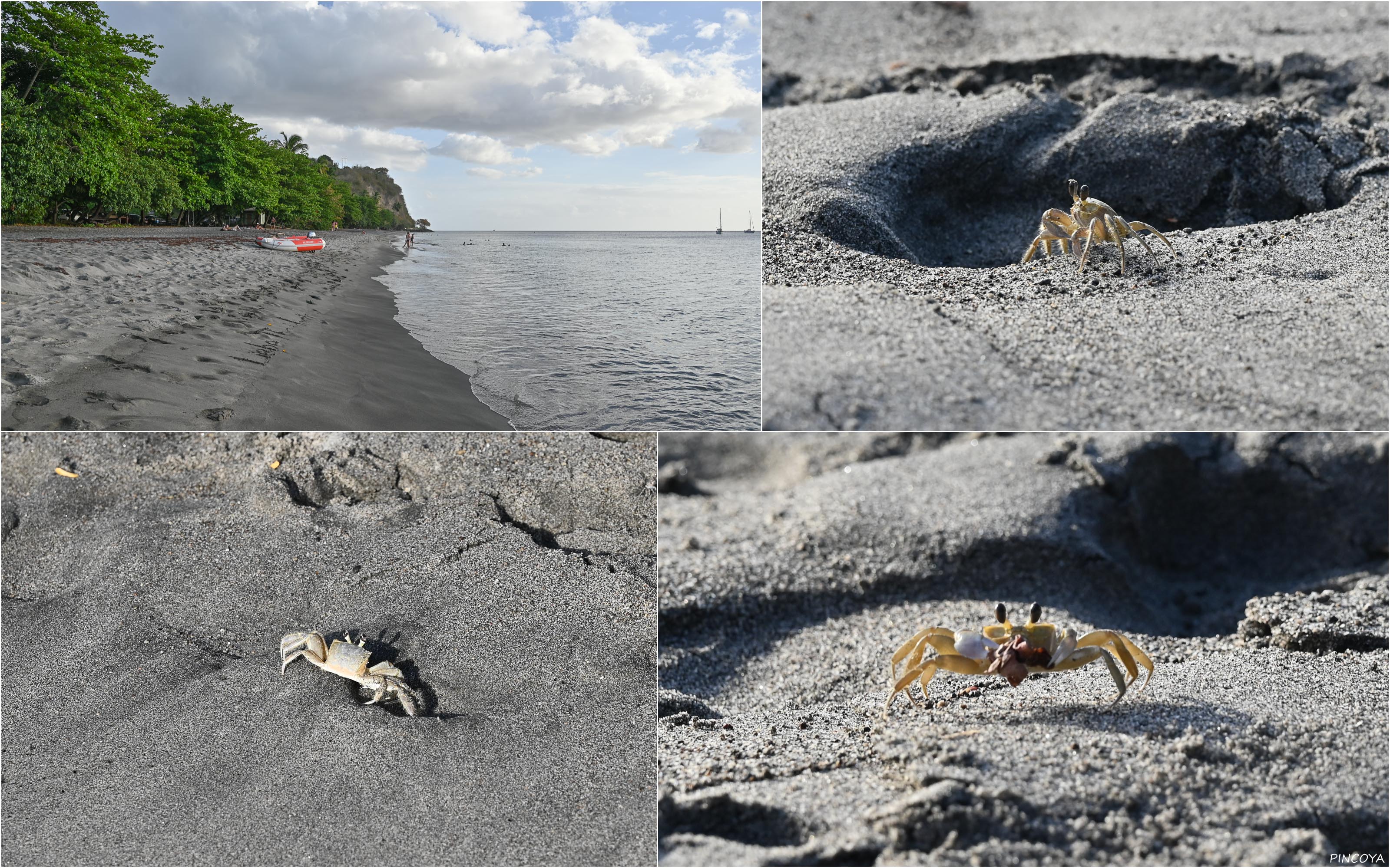 „Kleiner Strandbesuch und ein Hallo mit seinen Bewohnern“