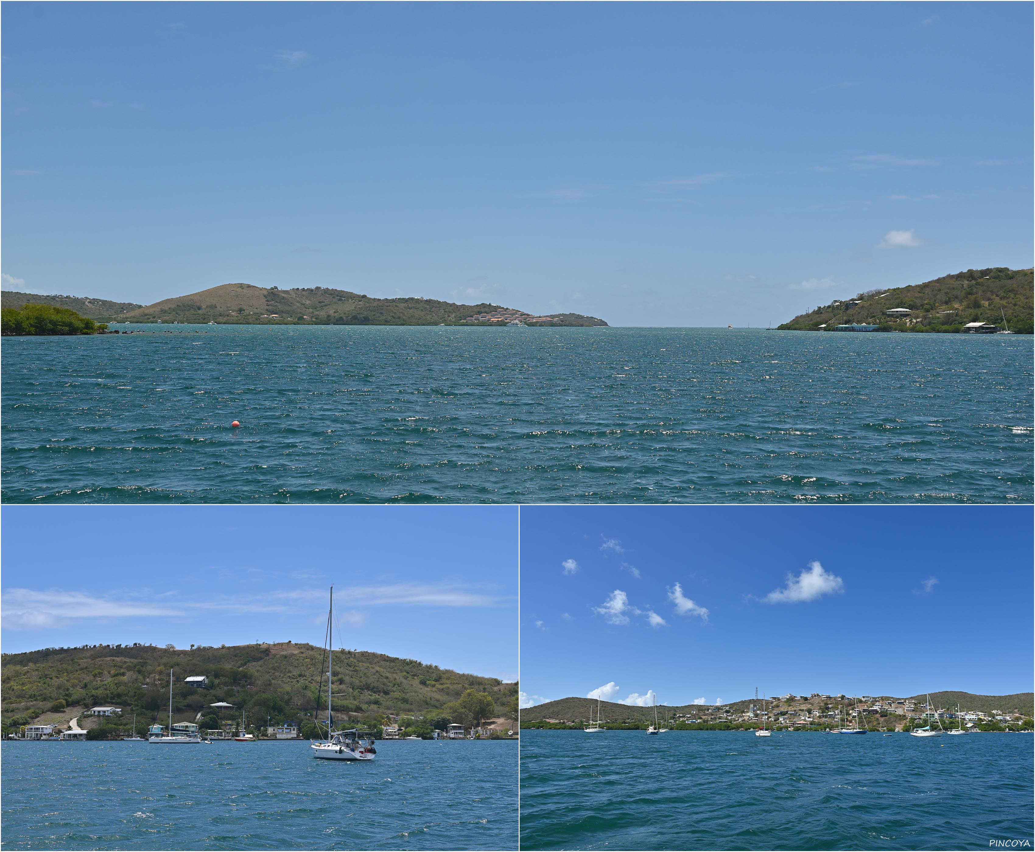 „In der Ensenada Honda auf Culebra“